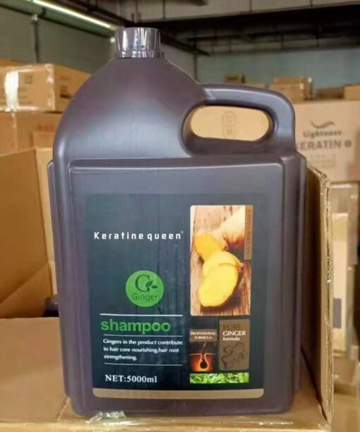 5L Ginger Shampoo + Conditioner